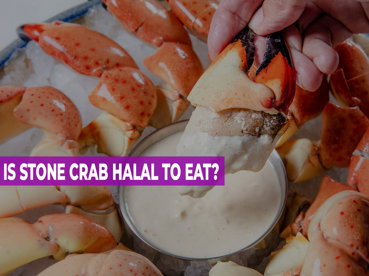 IS STONE CRAB HALAL TO EAT?